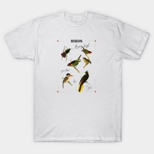 Birds T-Shirt